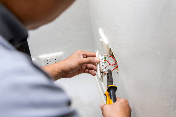 Best Electric Panel Repair  in Lincoln, ID